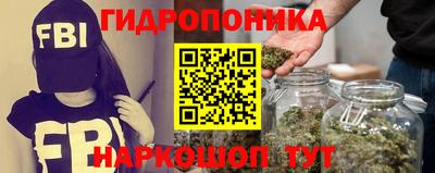 PSILOCYBIN Тула