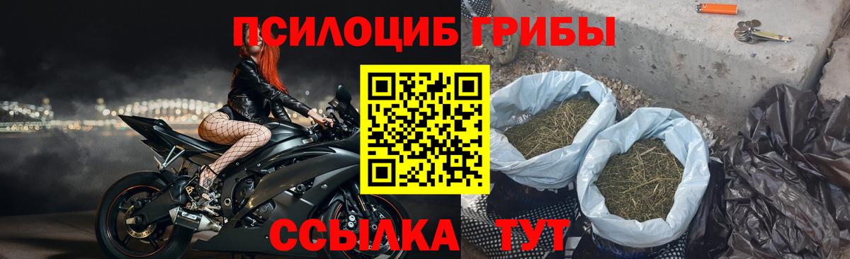 Фурманов  Галлюциногенные грибы Cubensis  Вход с VPN 
